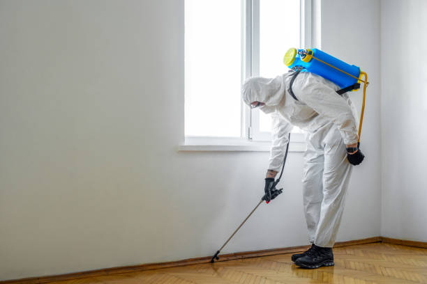 Best Local Pest Control Services  in Carnegie, PA